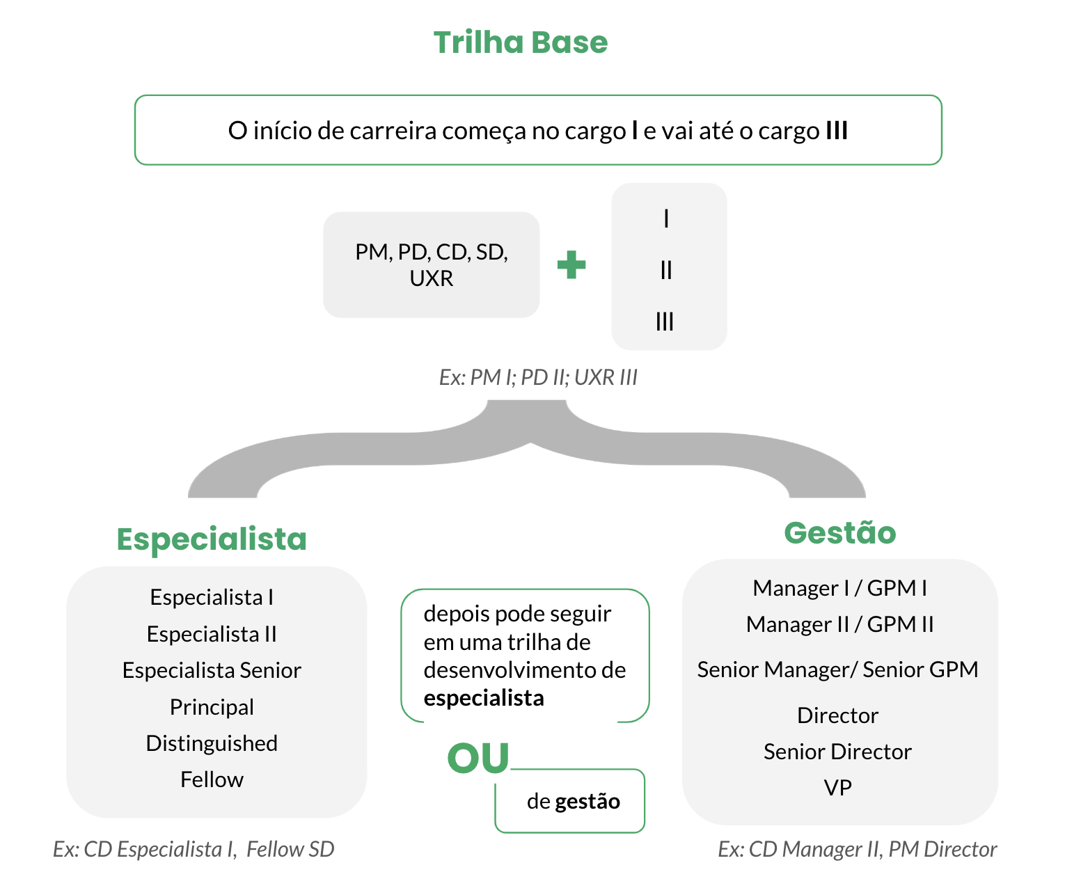 esquema de nossa trilha de carreira, explicando o fluxo de cargos desenhado